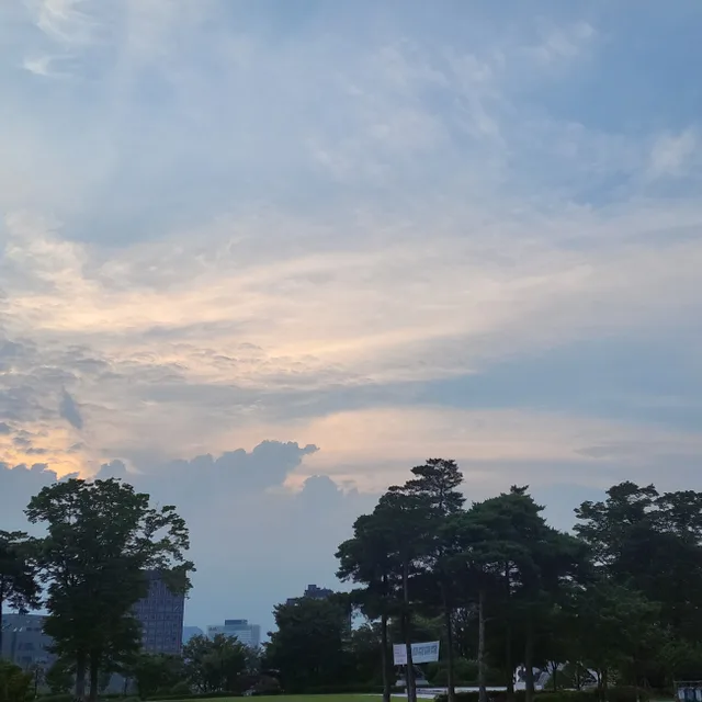 화분이
