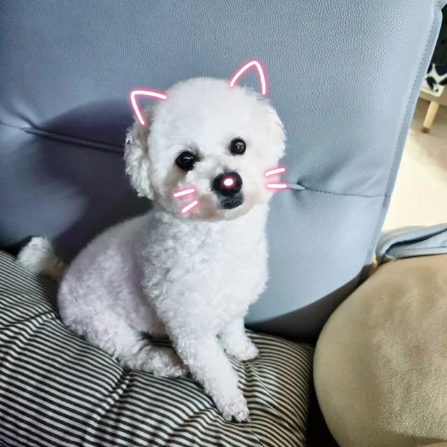구름이