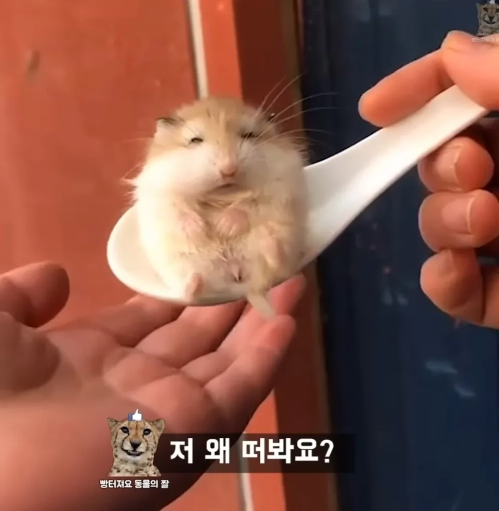 쿨거래감사