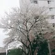 비우고