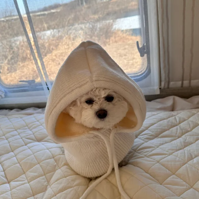 비결
