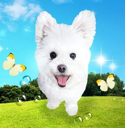 토토패밀리