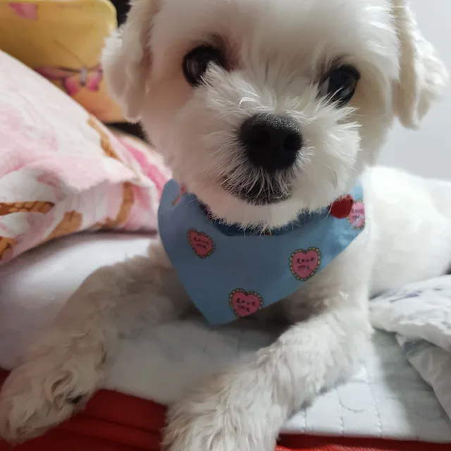 깊은산속