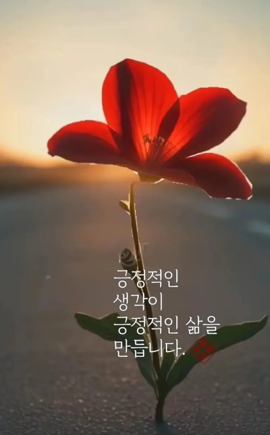 꼬꼬준