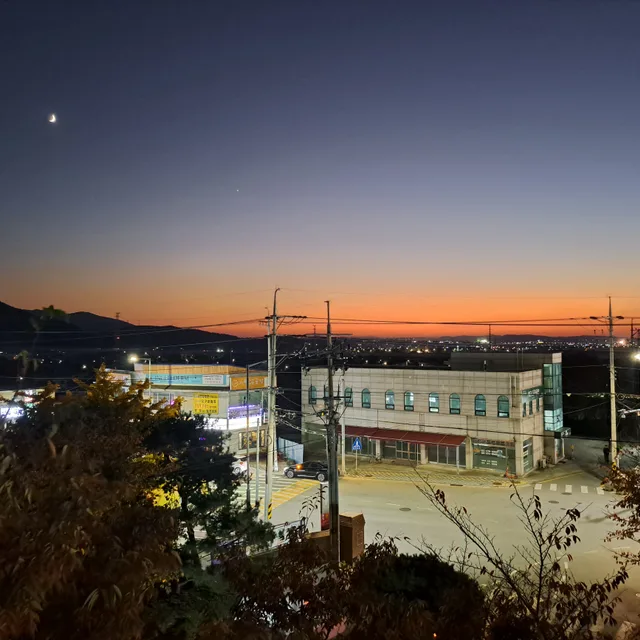 풀꽃