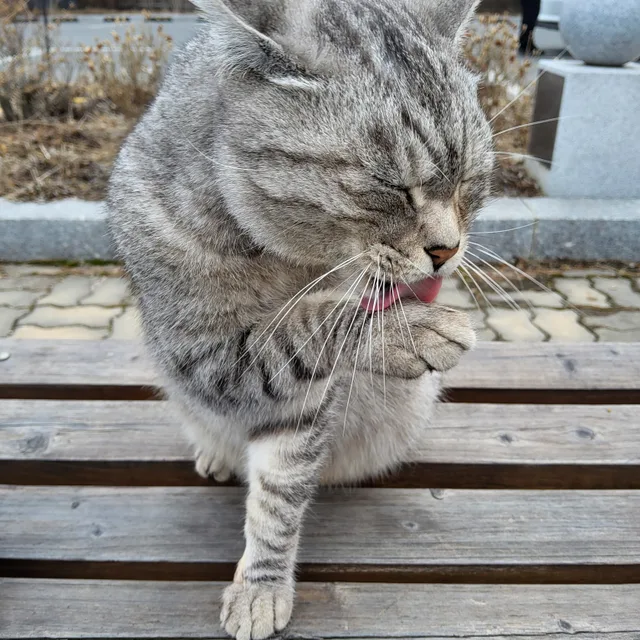 겨울지나가라
