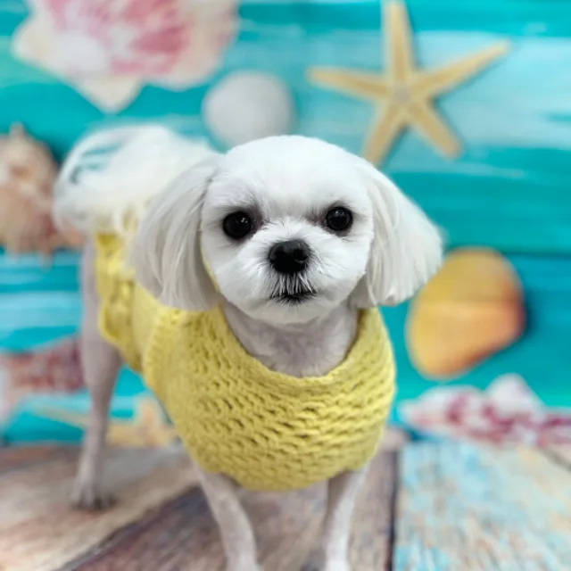 츄지