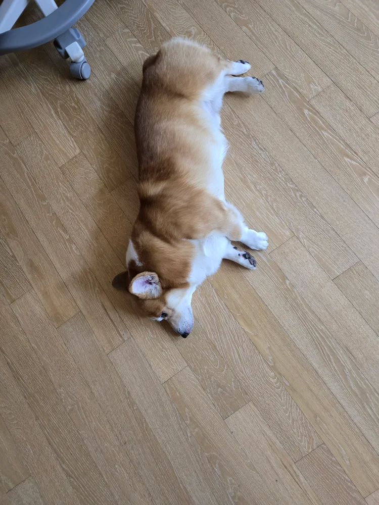 침놓고싶다