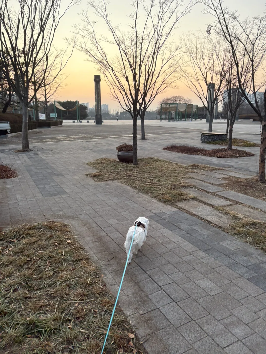 기요미땅코미