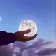 텔레토비