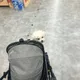꿀매만판다