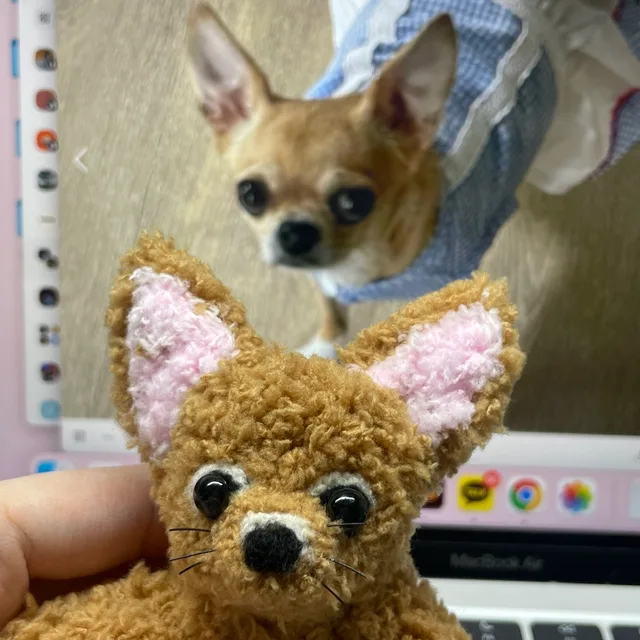 감자둥