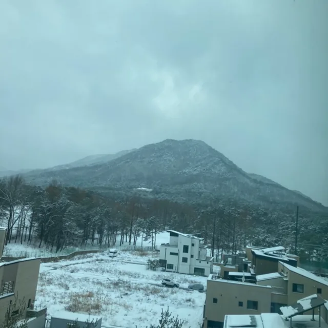 웃는나날