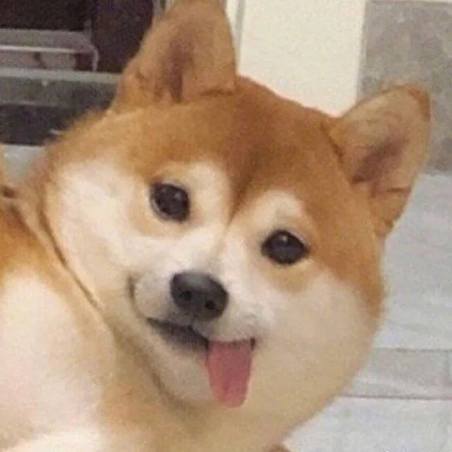 꿈떡이