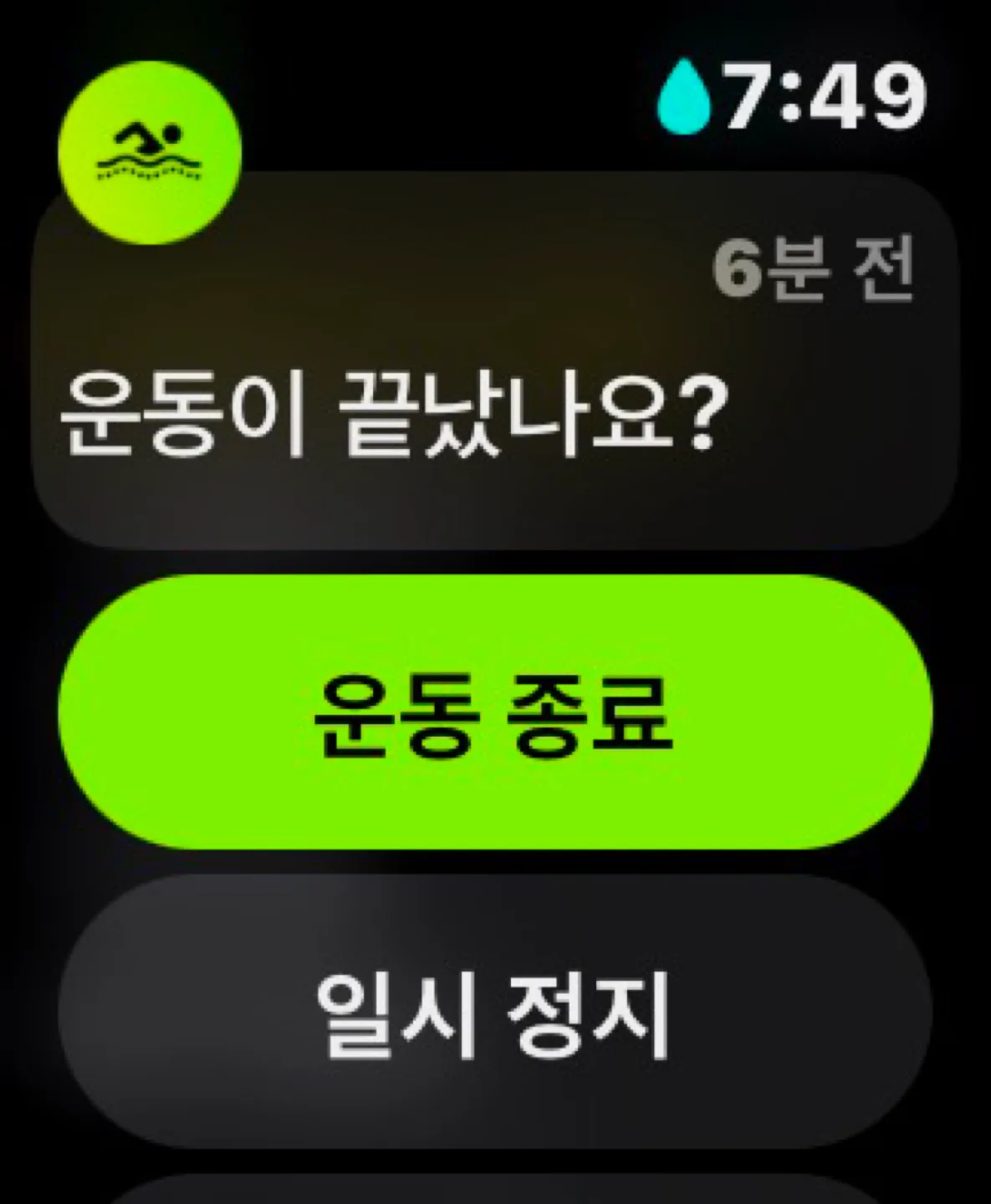 상어칭구