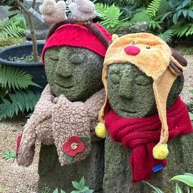 쟌쟌