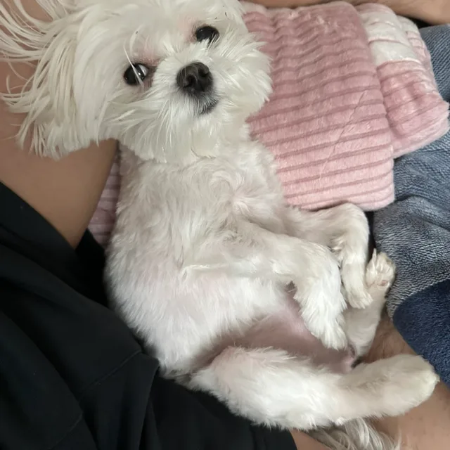 행복