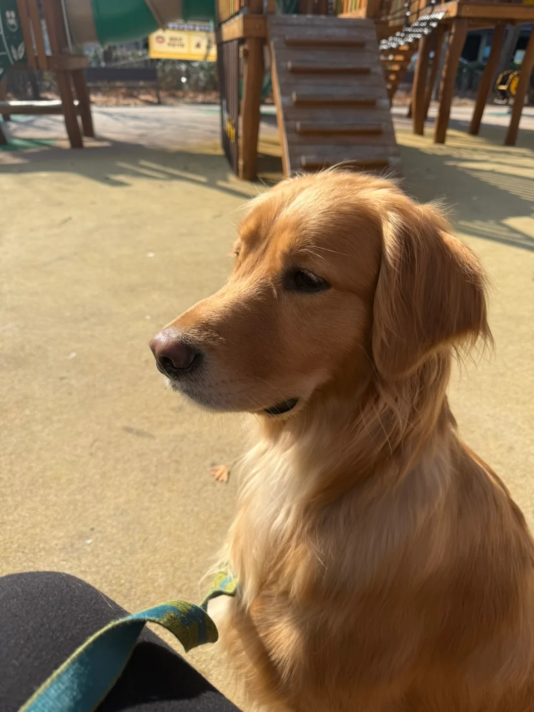 오유네코코