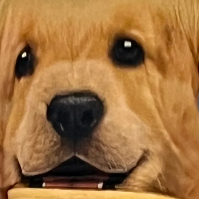 몽들맹들