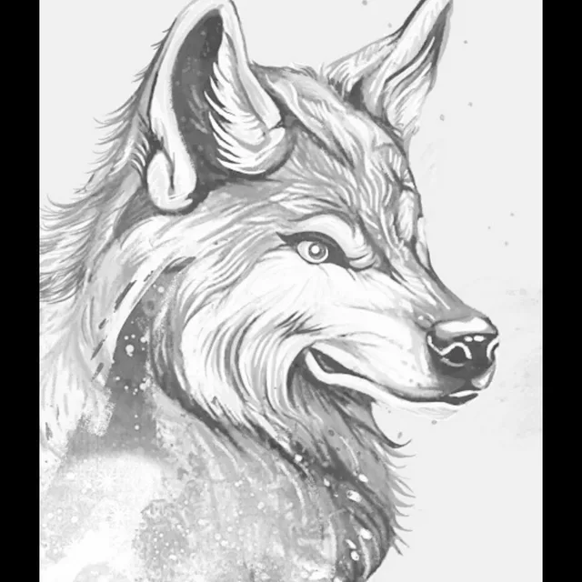 horse