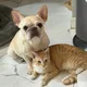 김쿠니