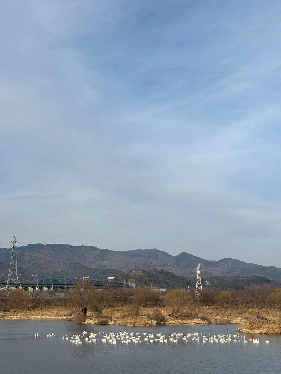 안전제일
