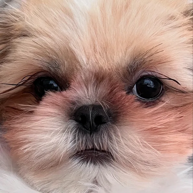 곰빈이