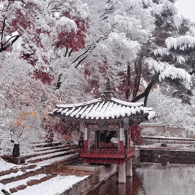 겨울이