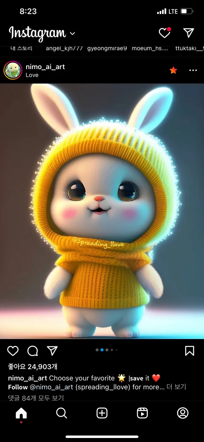 보니곰