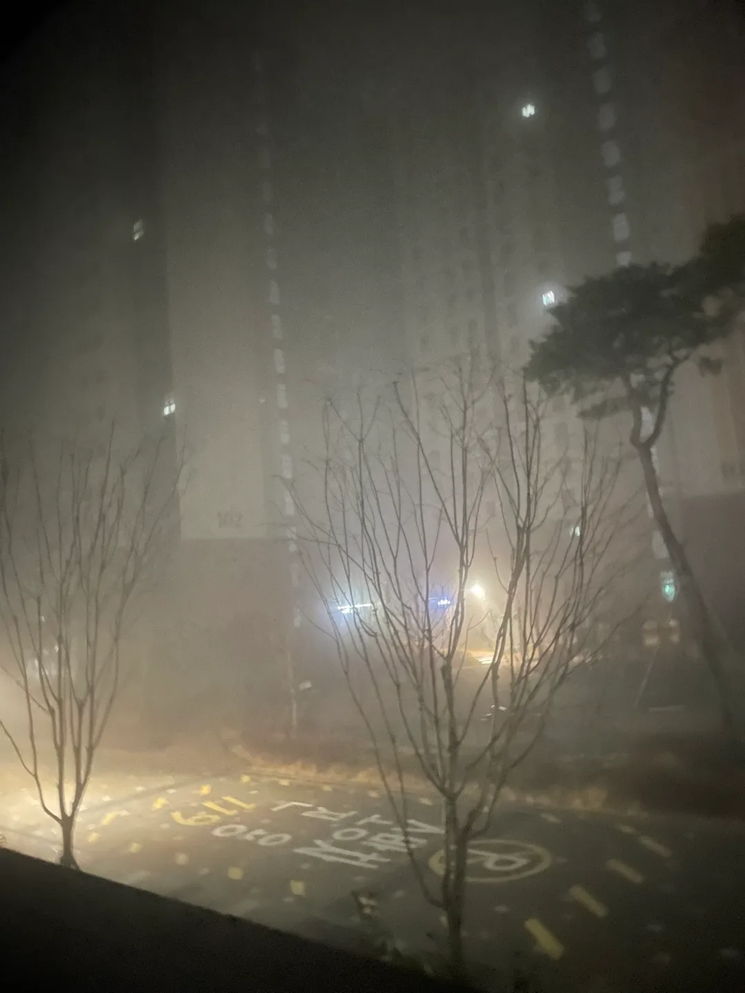 고릴라