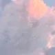 영양팀장
