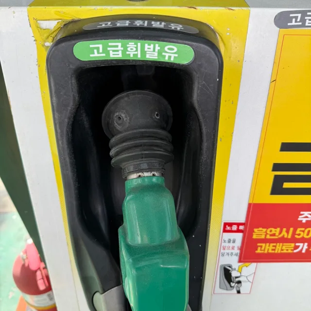 낙타오줌