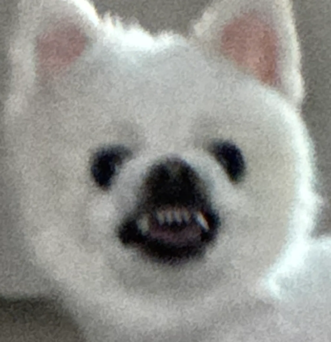 수딘