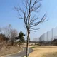 다앙그은