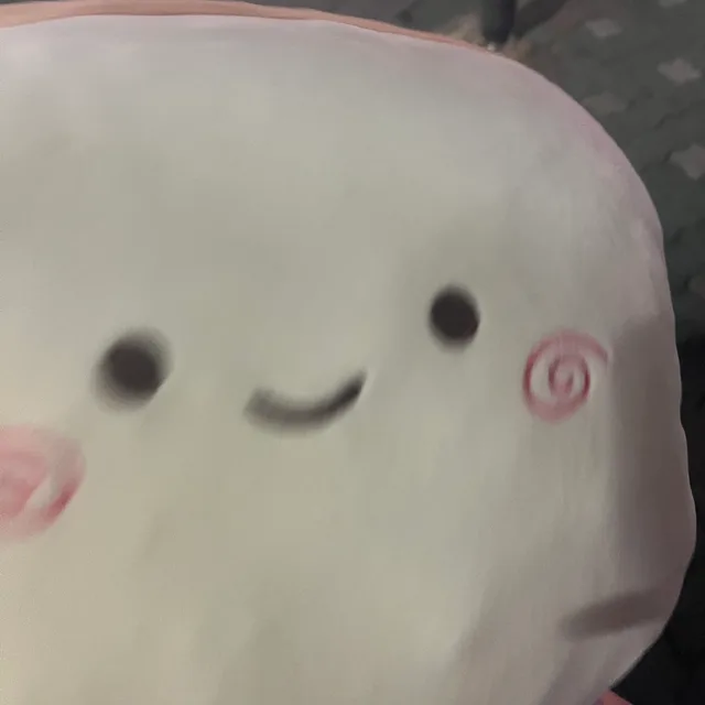 폼폼푸린