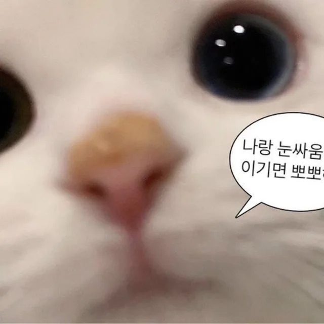 뇽뇽