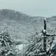 떳떳하게삽시다
