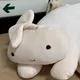 하이리키