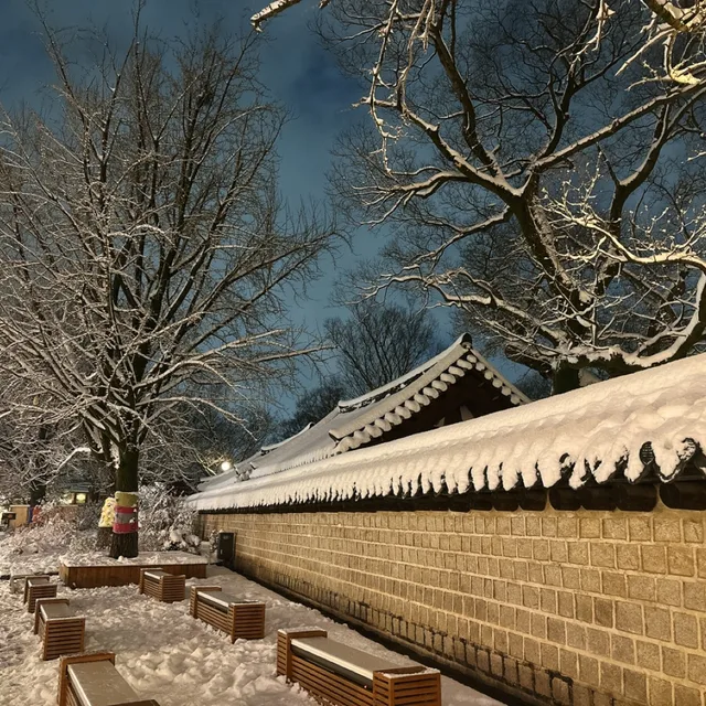 당근잉