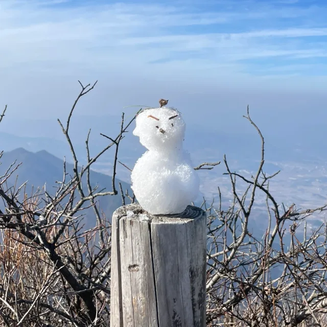 아나바다