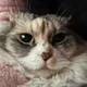 무늬랑