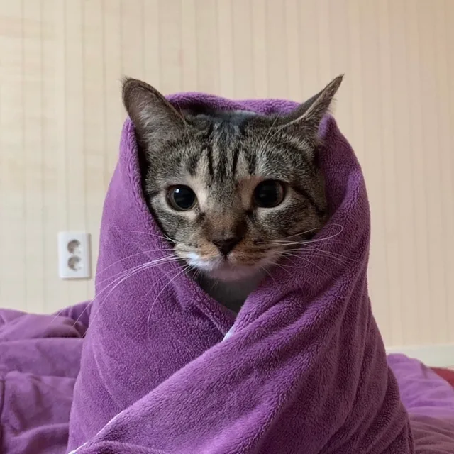 옷사세요