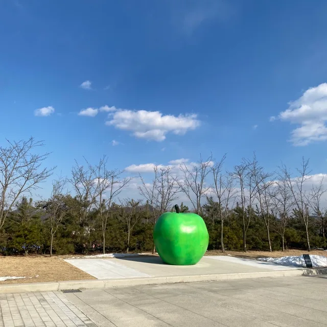 지지댁