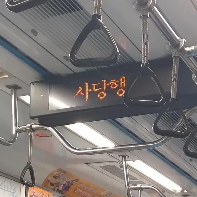 용감한꿀벌