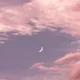 슈크림브레드