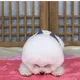 미뚱파파