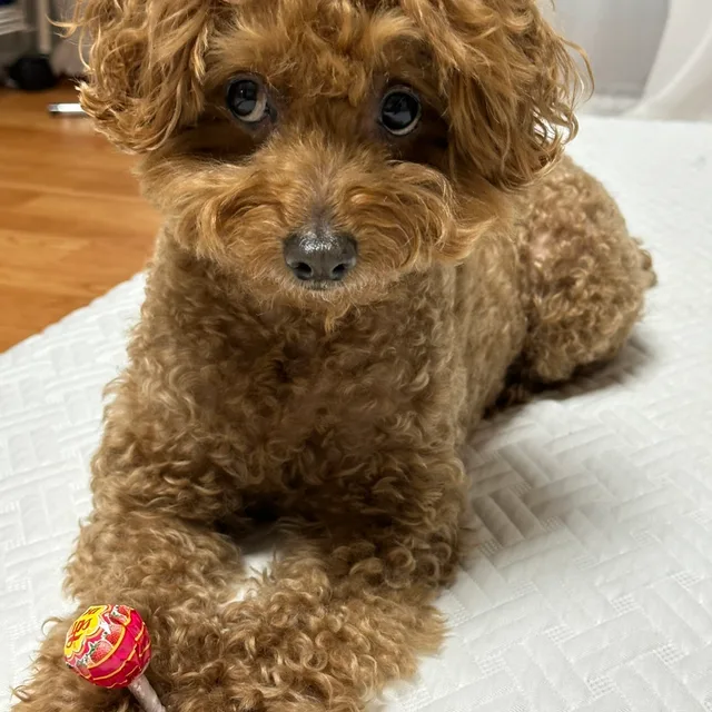 가을맘