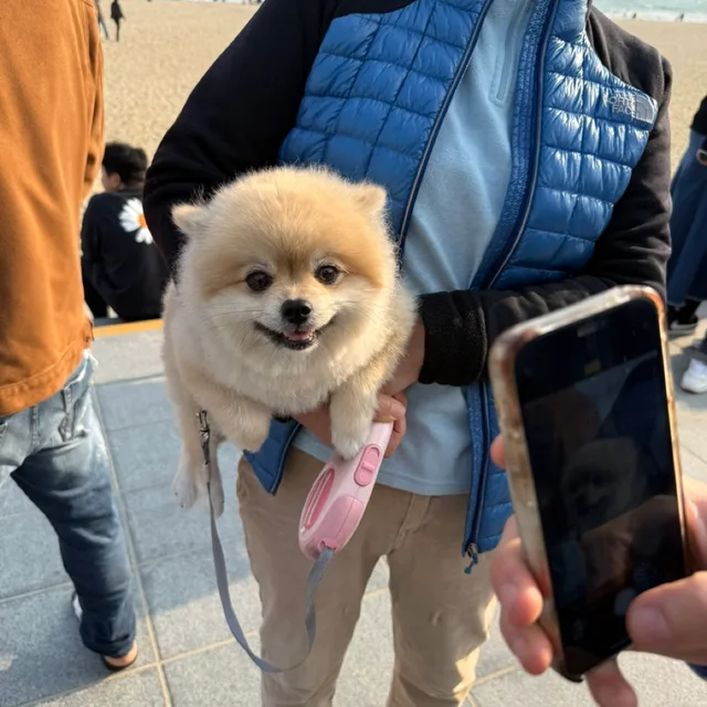 에렌