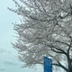 폭싹속았뚜다