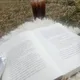 포도